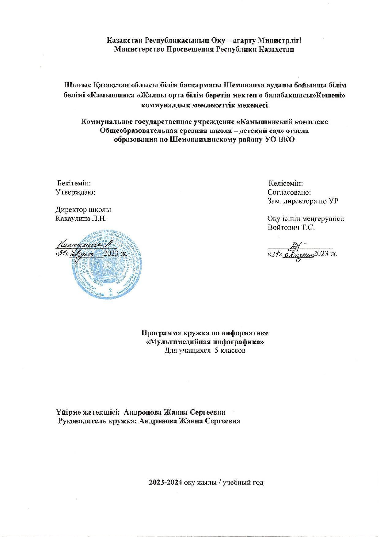 Программа кружка по информатике  Мультимедийная инфографика Андронова Ж.С.