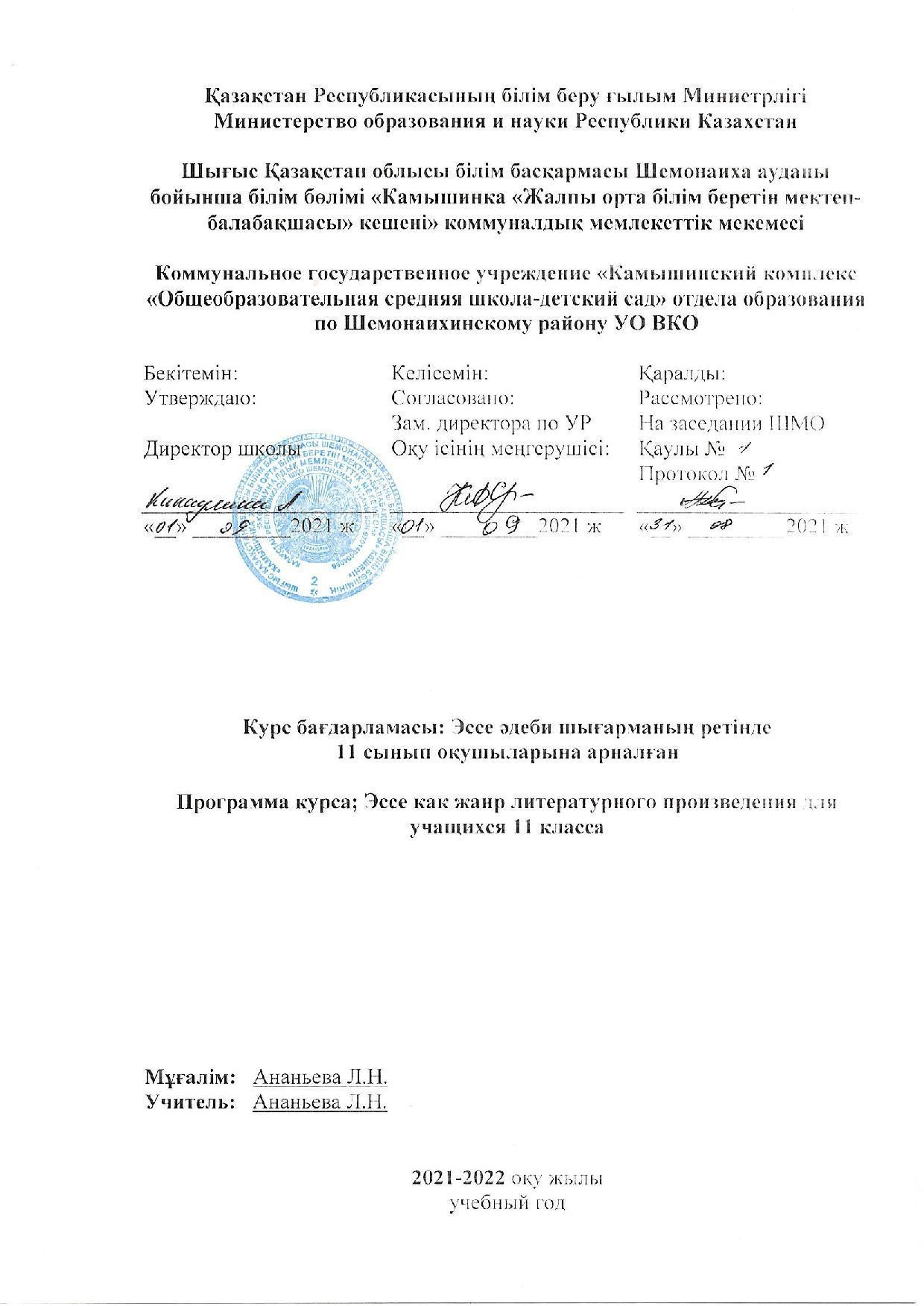11 Эссе как жанр литературного произведения